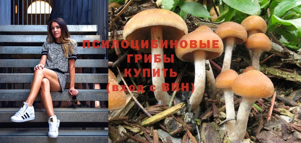 сатива Дегтярск