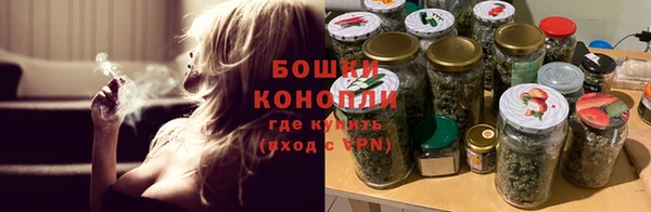 сатива Инсар