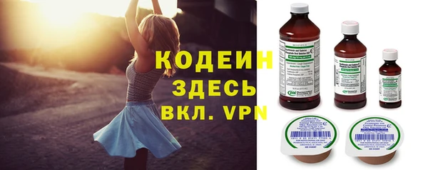 сатива Инсар