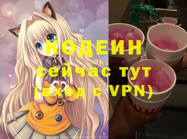 винт Инта
