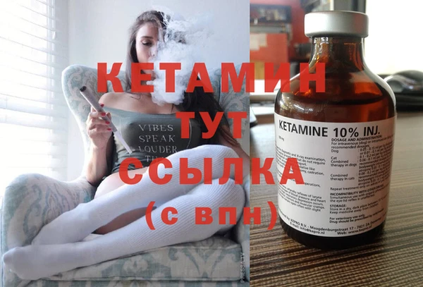 сатива Инсар