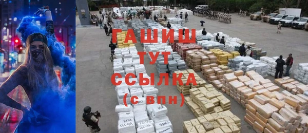 винт Инта