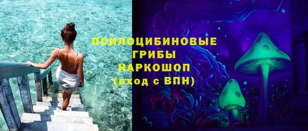 сатива Инсар