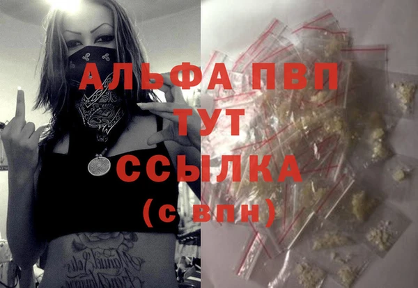винт Инта
