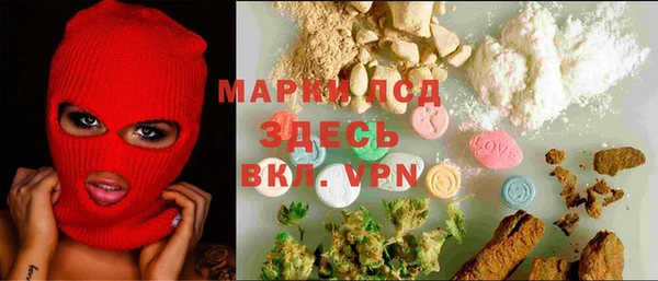 сатива Инсар