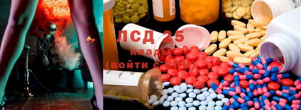 сатива Инсар