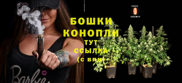 винт Инта