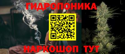 гашишное масло Берёзовский