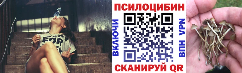 дарк нет официальный сайт  Касимов  Галлюциногенные грибы Psilocybe 