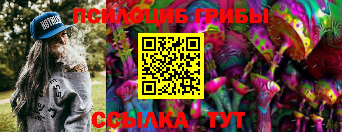 Псилоцибиновые грибы GOLDEN TEACHER Касимов