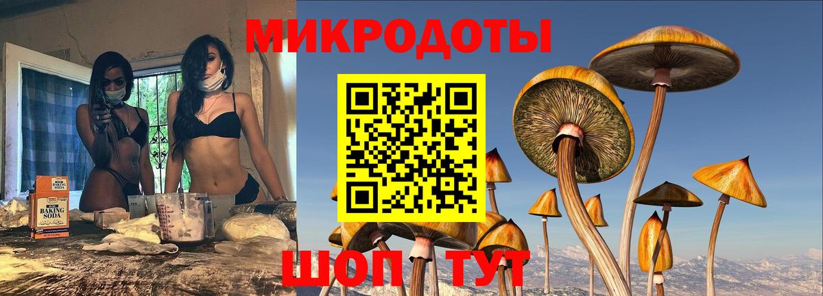 Псилоцибиновые грибы Psilocybine cubensis  Вход с VPN  Касимов  Галлюциногенные грибы мицелий 